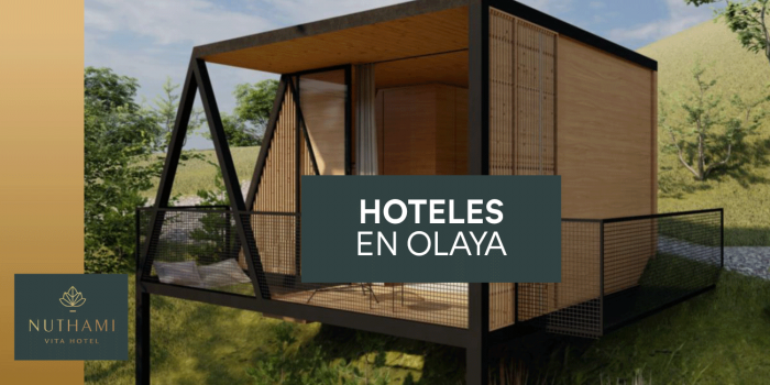 3 razones para visitar hoteles en Olaya