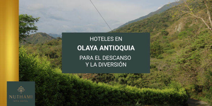 ¿Por qué elegir hoteles en Olaya Antioquia?
